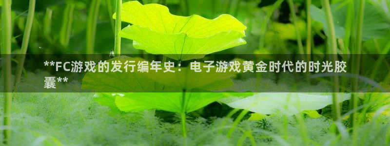 门徒平台地址：**FC游戏的发行编年史：电子游戏黄金时代的时光胶
囊**