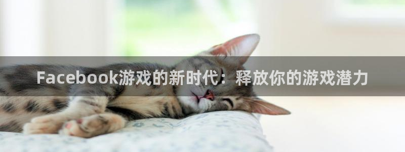 门徒平台注册登陆失败：Facebook游戏的新时代：释放你的游戏潜力