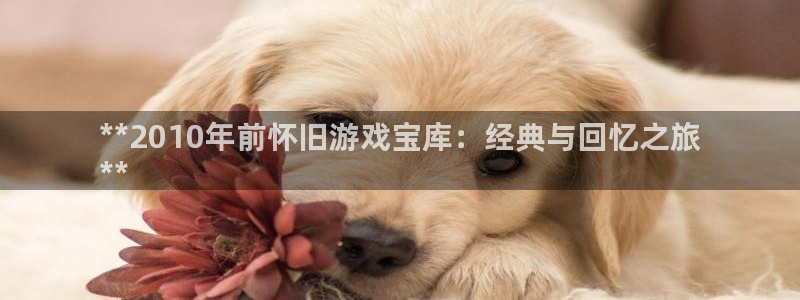 门徒娱乐总代理电话号码：**2010年前怀旧游戏宝库：经典与回忆之旅
**