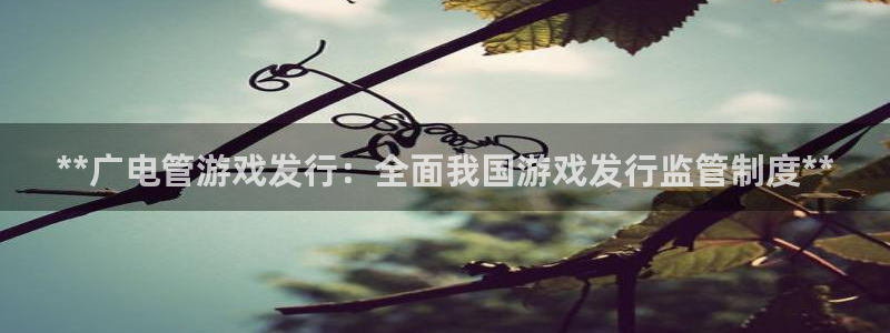 门徒平台中心链接：**广电管游戏发行：全面我国游戏发行监管制度**