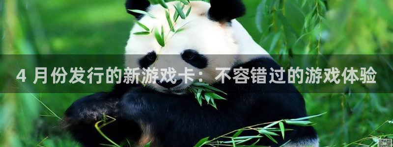 门徒娱乐集团：4 月份发行的新游戏卡：不容错过的游戏体验