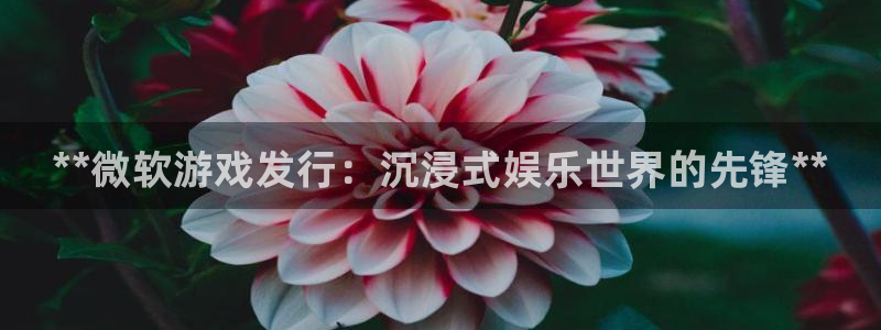 门徒娱乐创始人简介