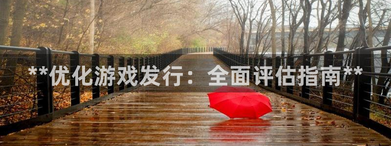 门徒平台布7O777：**优化游戏发行：全面评估指南**