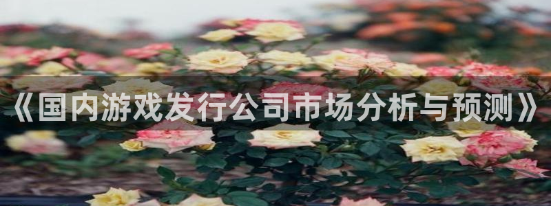 门徒娱乐联盟