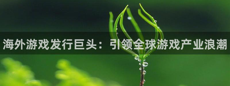 门徒娱乐平台代理公司