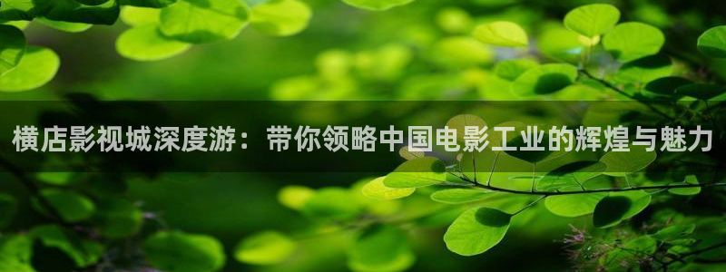 神马我不卡电影