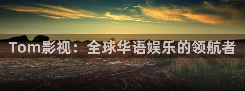 我不卡电影影院