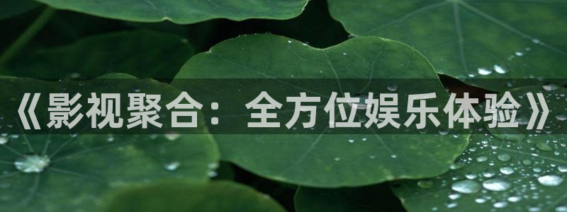 我不卡电影