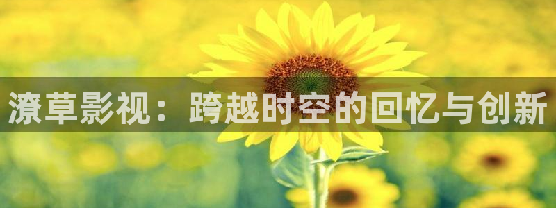神马电影我不卡电影院八戒午夜