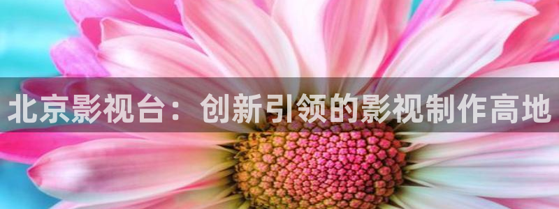 神马手机我不卡电影