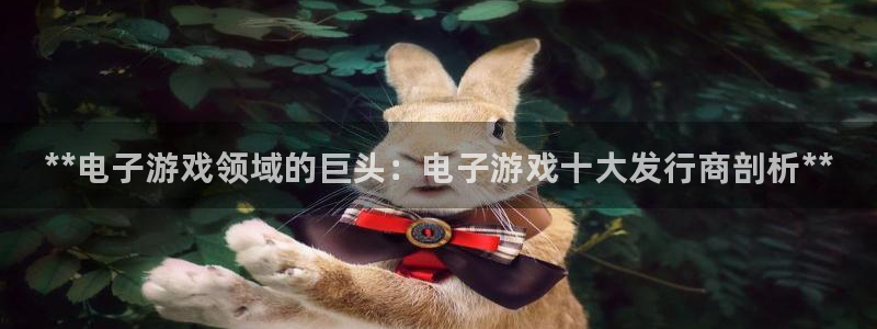 门徒平台测速网址大全：**电子游戏领域的巨头：电子游戏十大发行商剖析**