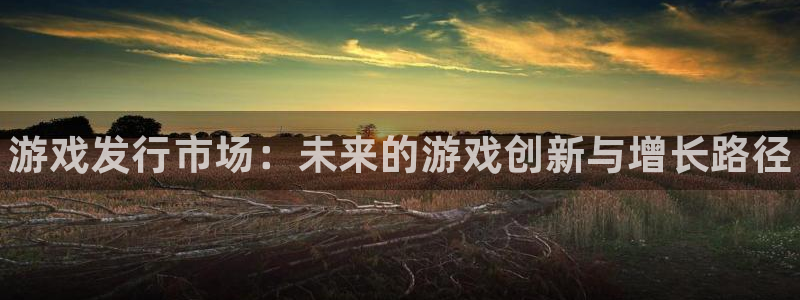 门徒娱乐属于什么系列：游戏发行市场：未来的游戏创新与增长路径