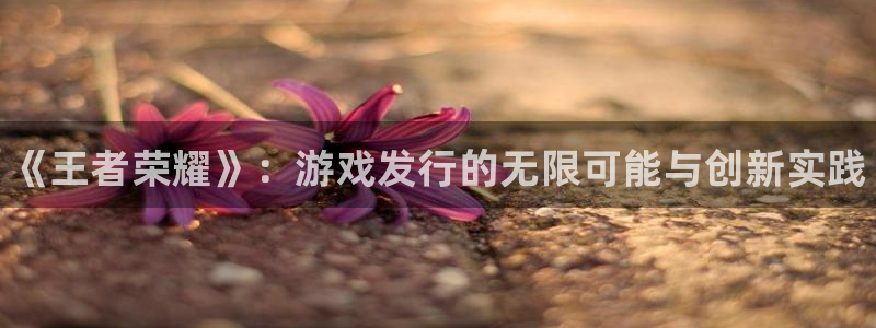 门徒平台入.门徒平台.怎么样.长久.中国：《王者荣耀》：游戏发行的无限可能与创新实践